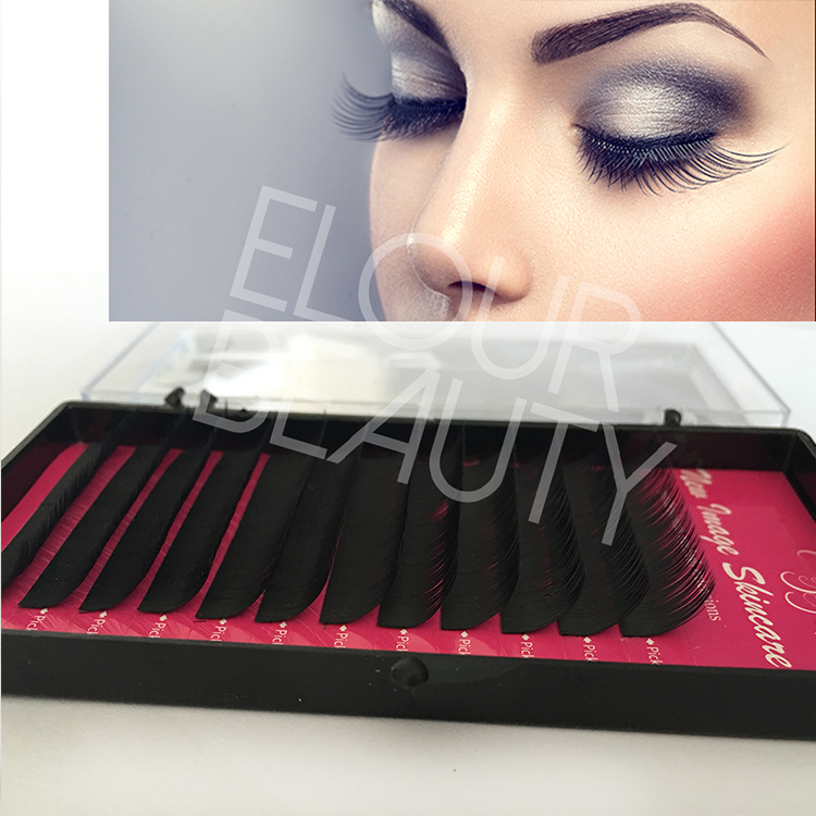 Wholesale best eyelash extensions for traing course ES23